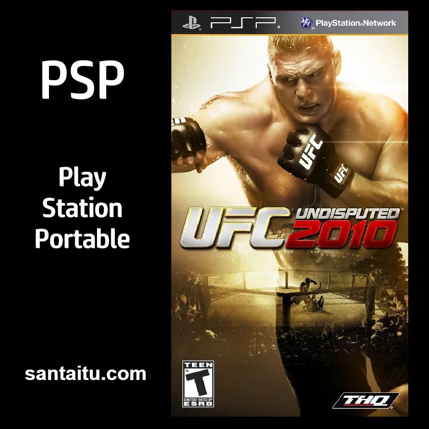 终极格斗冠军赛2010