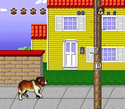 无敌当家2：我家也有贝多芬SFC游戏截图第2张