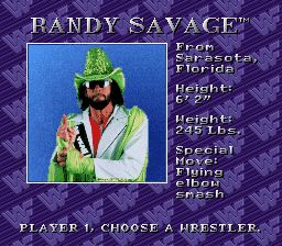 WWF皇家摔角SFC游戏截图第3张
