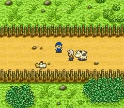 牧场物语SFC游戏截图第2张