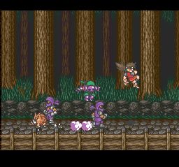 少年忍者佐助SFC游戏截图第9张