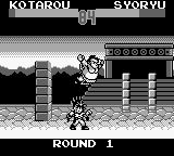 SD飞龙之拳外传1GB游戏截图第19张