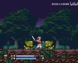 武四青龙传：两名勇者SFC游戏截图第11张