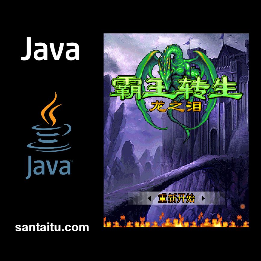 霸王转生：龙之泪