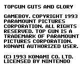 壮志凌云：勇气与荣耀GB游戏截图第1张