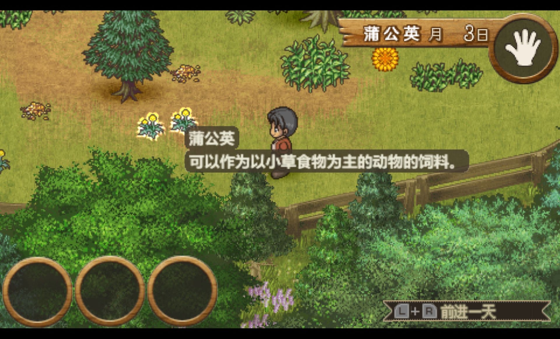 欢迎来到绵羊村PSP游戏截图第8张