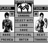 自由搏击之王／最佳空手道冠军GB游戏截图第3张