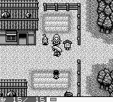 风来的西林：月影村的怪物GB游戏截图第6张