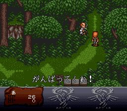 暗黑之王SFC游戏截图第22张