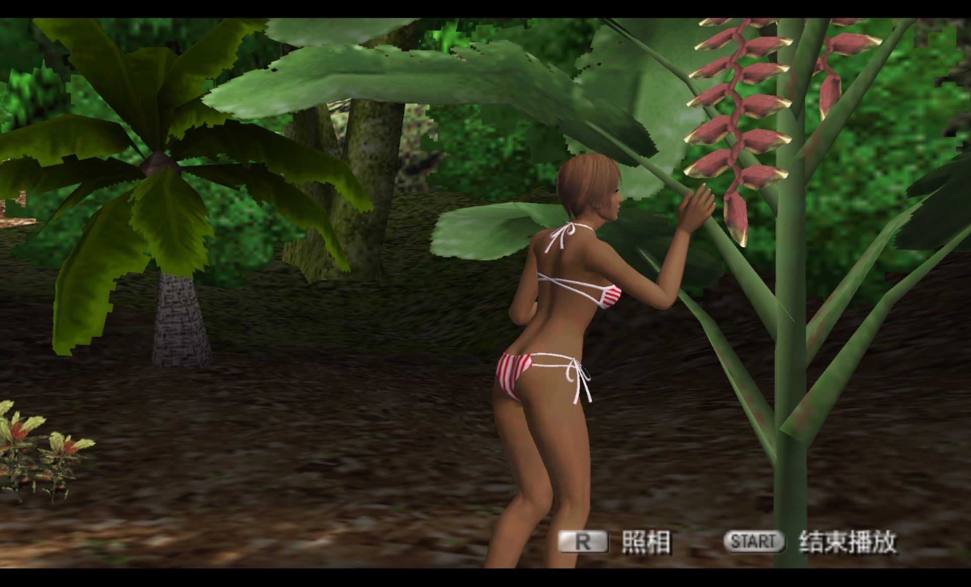 死或生：热带天堂PSP游戏截图第8张