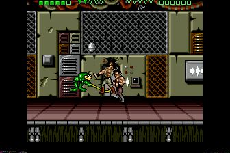 忍者蛙与双截龙MD游戏截图第24张