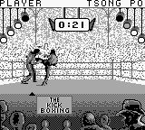 自由搏击之王／最佳空手道冠军GB游戏截图第9张