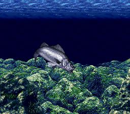 海钓高手SFC游戏截图第6张