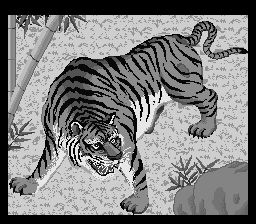 超级五子棋·将棋：棋谱研究篇SFC游戏截图第9张