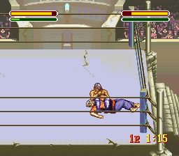 综合格斗技1：终极之战SFC游戏截图第15张