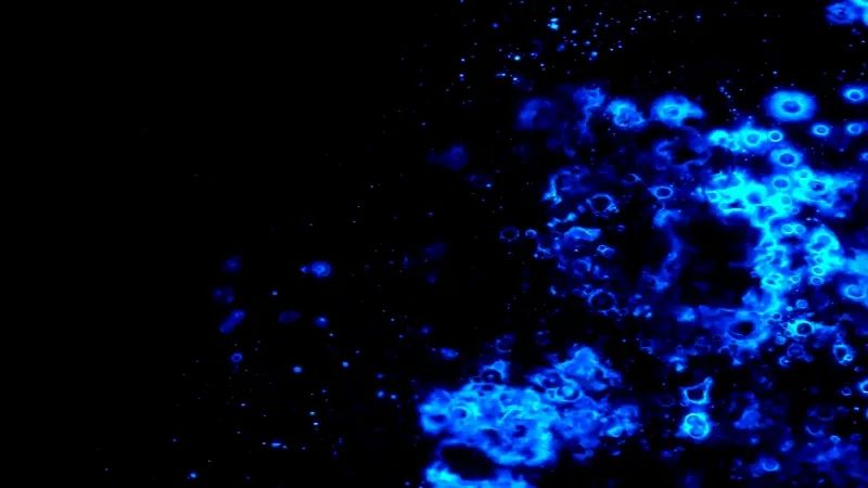 夜光虫SFC游戏截图第1张