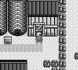 牧场物语GBGB游戏截图第17张