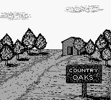 高尔夫精英赛GB游戏截图第4张