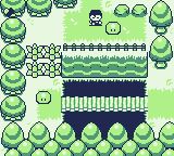 堕落骑士森林GB游戏截图第11张