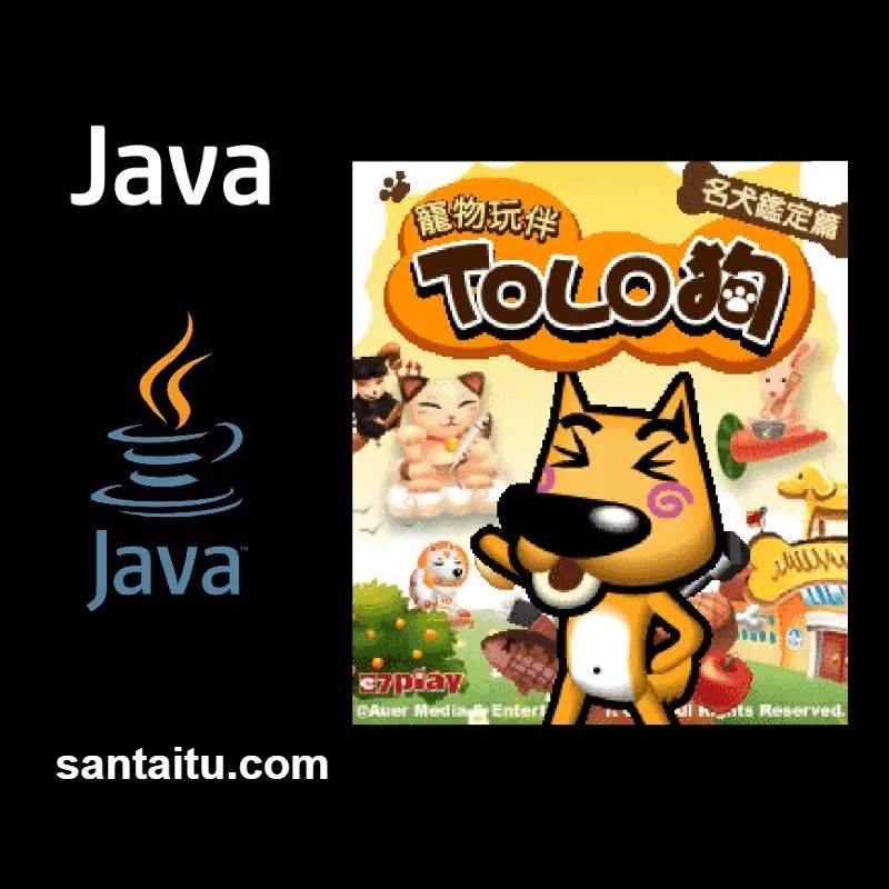 宠物玩伴TOLO狗：名犬鉴定篇