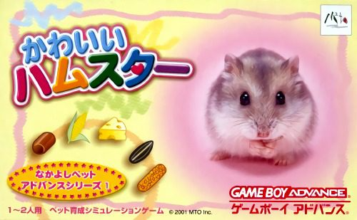 动物伴侣系列一：可爱老鼠