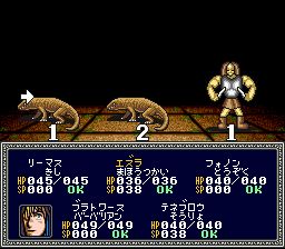 魔法门2：异世界之门SFC游戏截图第14张