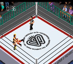 火爆女子摔角SFC游戏截图第15张
