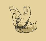 播磨滩相扑GB游戏截图第10张