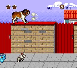 无敌当家2：我家也有贝多芬SFC游戏截图第12张