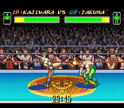 综合格斗技2SFC游戏截图第14张