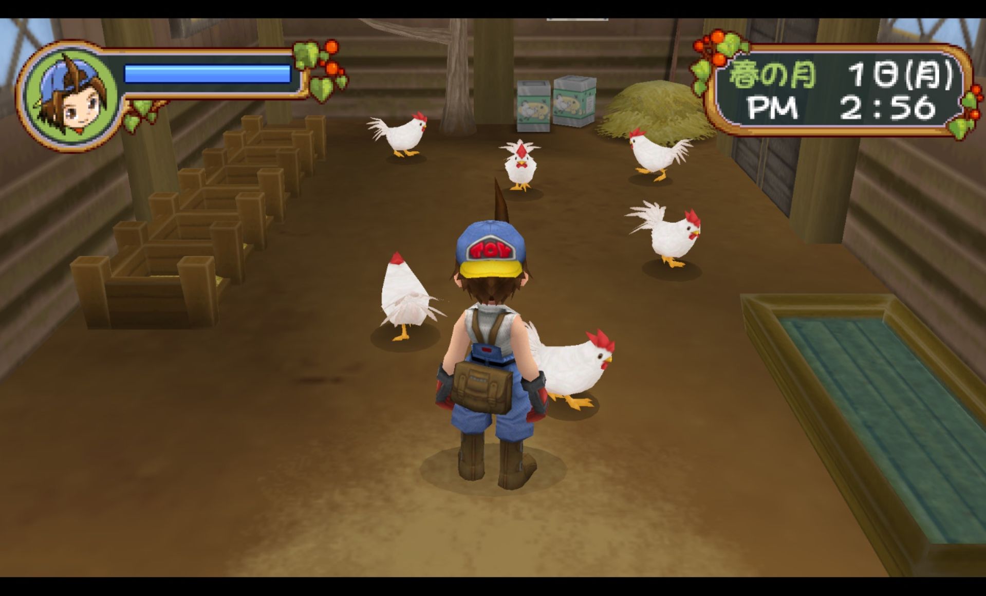 牧场物语：蜜糖村和大家的愿望PSP游戏截图第13张