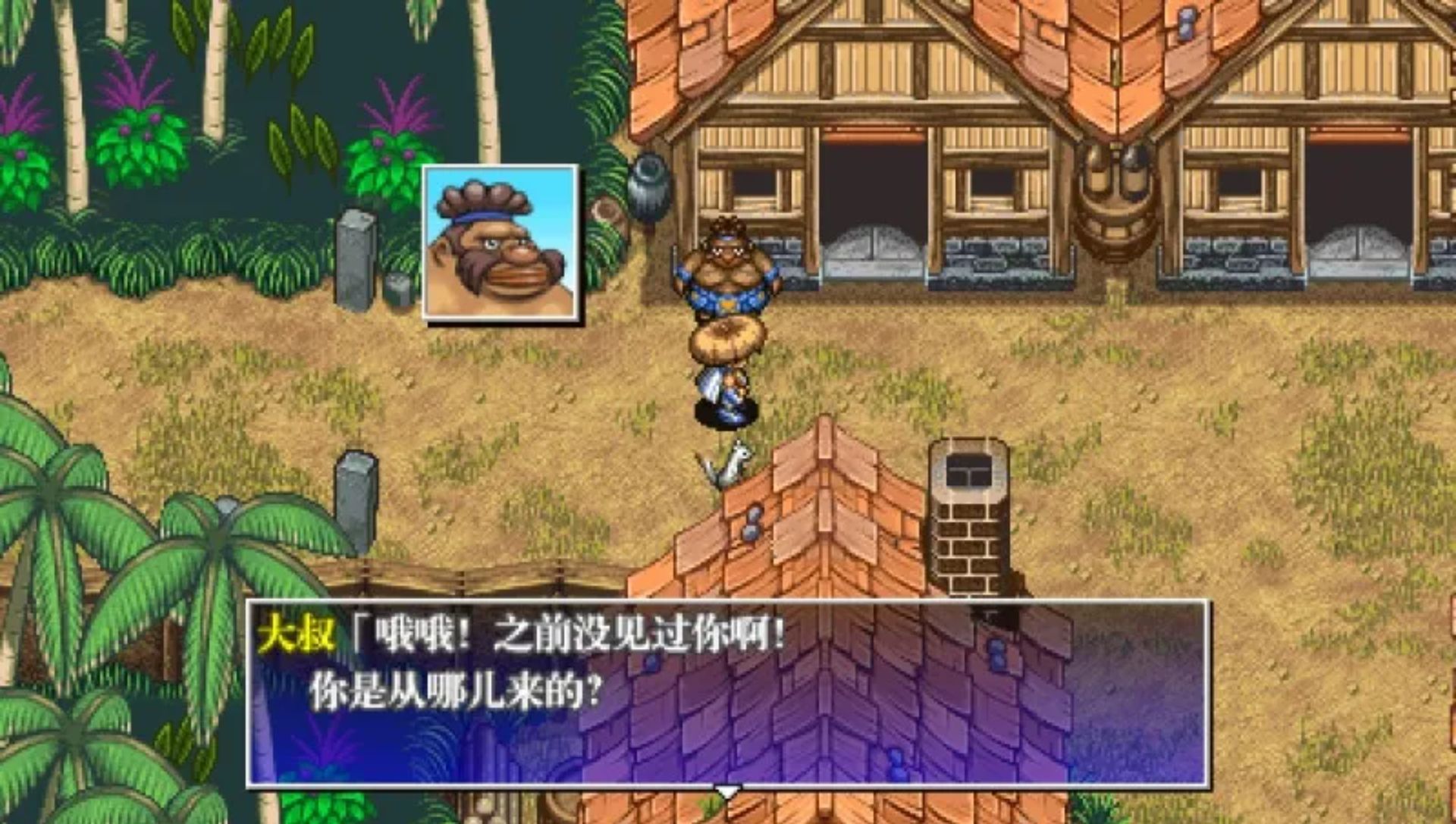 不可思议的迷宫：风来的西林4PSP游戏截图第12张