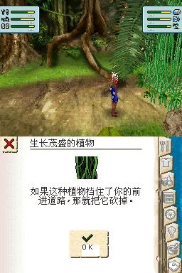 模拟人生2：孤岛物语／生存游戏／漂流者NDS游戏截图第22张