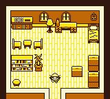 常去的田野GB游戏截图第3张