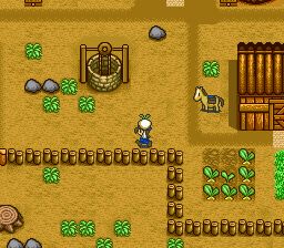 牧场物语SFC游戏截图第30张