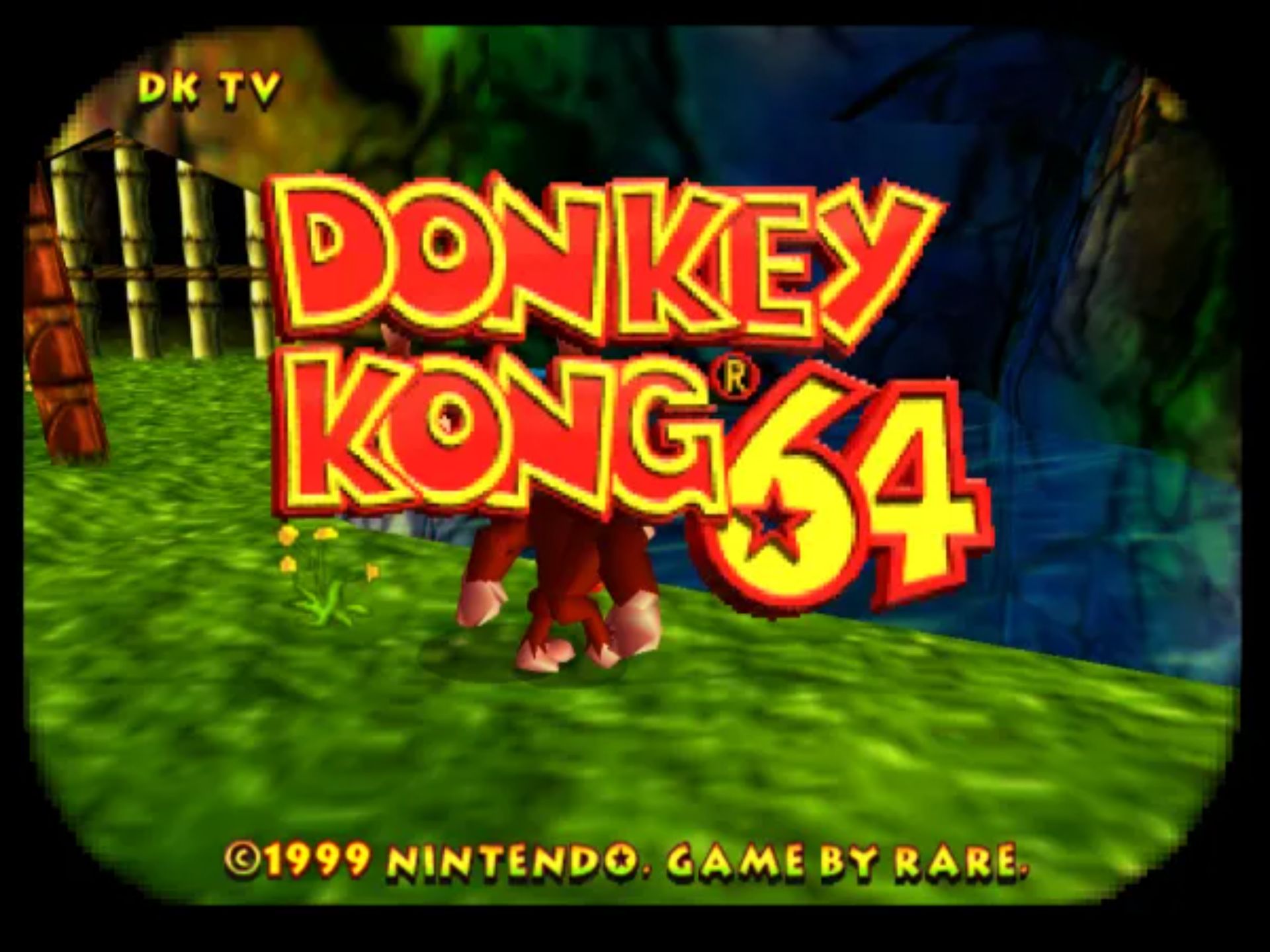 大金刚64(Donkey Kong 64 / DK64)N64游戏截图第8张