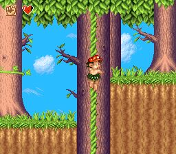 高桥名人之大冒险岛2SFC游戏截图第18张