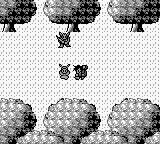 维生素王国物语GB游戏截图第6张