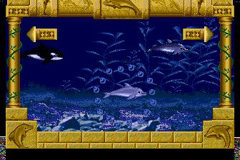 小海豚MD游戏截图第7张