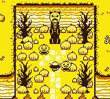 常去的田野GB游戏截图第11张