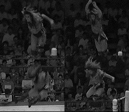 火爆女子摔角SFC游戏截图第2张