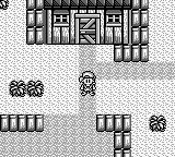 牧场物语GBGB游戏截图第15张