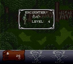 暗黑之王SFC游戏截图第18张