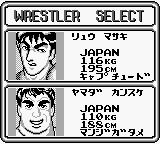 职业摔跤GB游戏截图第3张