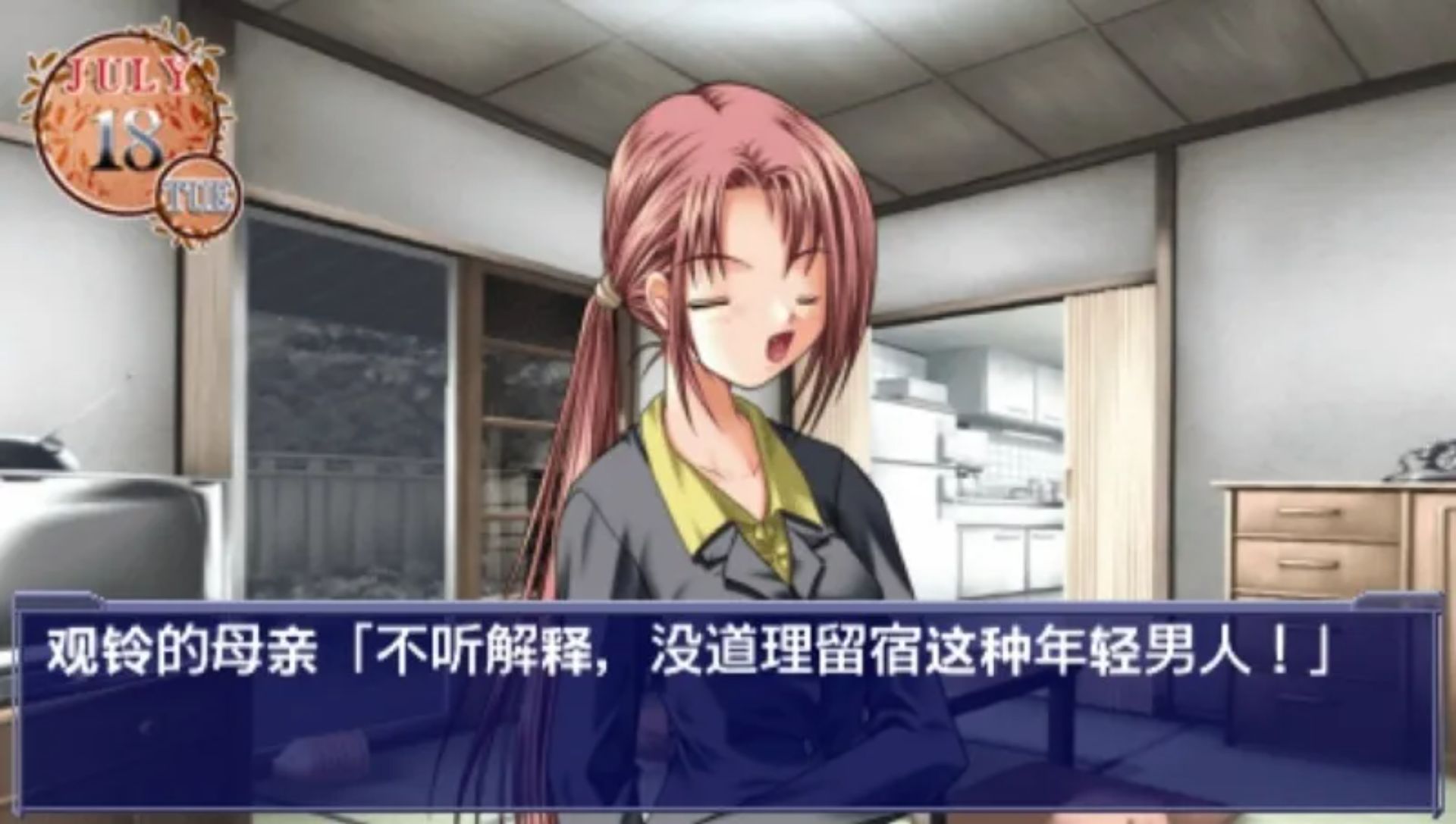 鸟之诗PSP游戏截图第11张