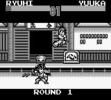 SD飞龙之拳外传1GB游戏截图第20张