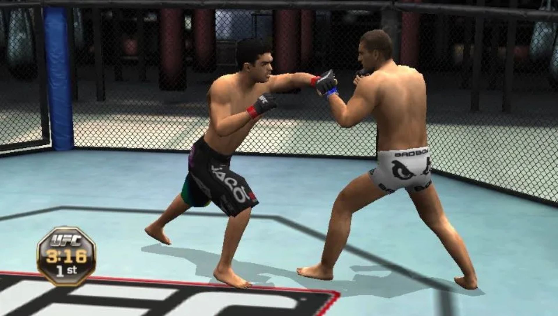 终极格斗冠军赛2010PSP游戏截图第6张