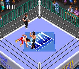 超级热血摔角世界3SFC游戏截图第12张