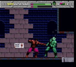 绿巨人SFC游戏截图第12张