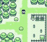 堕落骑士森林GB游戏截图第10张